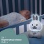 Игрушка-ночник музыкальная "Кролик Dreamlight" арт. 11456.00 Игрушка-ночник музыкальная "Кролик Dreamlight" арт. 11456.00