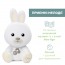 Игрушка-ночник музыкальная "Кролик Dreamlight" арт. 11456.00 Игрушка-ночник музыкальная "Кролик Dreamlight" арт. 11456.00