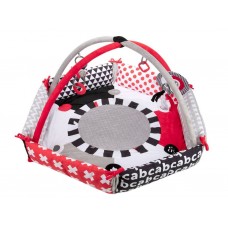 Игрушка гимнастическая Sensory Toys Canpol Babies 68/077
