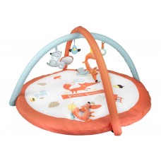 Игрушка Коврик развивающий FOX Canpol Babies 75/200