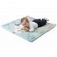 Ігровий килимок 2 в 1 "Relax and Play" арт. 11939.00 Ігровий килимок 2 в 1 "Relax and Play" арт. 11939.00