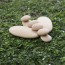 Дерев'яні блоки Guidecraft Natural Play Округлі камені G6771