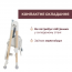 Стульчик для кормления Polly Armonia арт. 87140.60 цвет Зеленый Стульчик для кормления Polly Armonia арт. 87140.60 цвет Зеленый