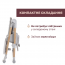 Стульчик для кормления Polly Armonia арт. 87140.61 цвет Серый