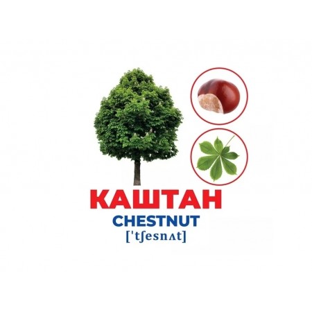 Гений с пеленками Деревья и кустарники Ранок 10107196У 468152