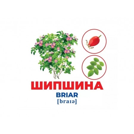 Гений с пеленками Деревья и кустарники Ранок 10107196У 468152