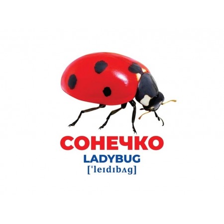 Гений с пеленками Насекомые Ранок 10107199У 468155 Гений с пеленками Насекомые Ранок 10107199У 468155