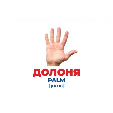 Гений с пеленками Телосложение Ранок 10107202У 468159