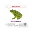 Звукоподражание Животные QR Ранок КН1662002У 476135 Звукоподражание Животные QR Ранок КН1662002У 476135