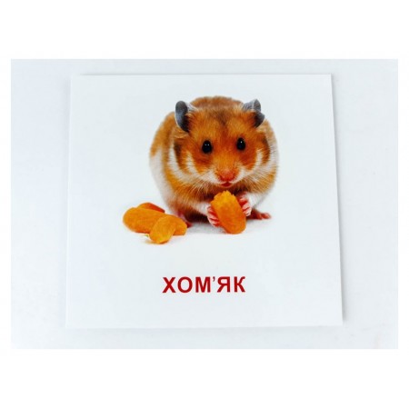 Карточки мини Домашние животные 110х110 мм ZIRKA 65945 286283