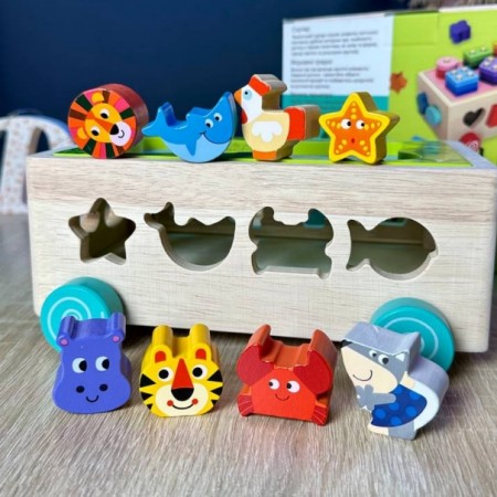 Дерев'яна каталка WToys 22995 логічна для дітей Дерев'яна каталка WToys 22995 логічна для дітей