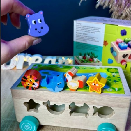 Дерев'яна каталка WToys 22995 логічна для дітей Дерев'яна каталка WToys 22995 логічна для дітей