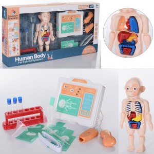 Дитячий ігровий набір лікаря H326A рентген-апарат, лялька-анатомічний манекен, пробірки, пінцет, звук, світло