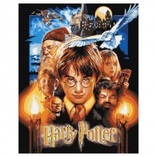 Набор для росписи WB "Harry Potter: Постер с красками металлик" 40х50см Набор для росписи WB "Harry Potter: Постер с красками металлик" 40х50см