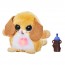 Интерактивная игрушка Furreal Fuzz-A-Lots Щенок Интерактивная игрушка Furreal Fuzz-A-Lots Щенок