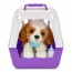 Интерактивная игрушка Little Live Pets Щенок Интерактивная игрушка Little Live Pets Щенок