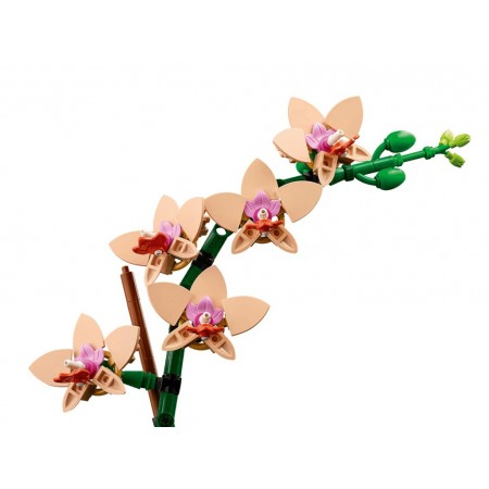 Конструктор LEGO Botanicals Мініорхідея, 274 деталі 10343 Конструктор LEGO Botanicals Мініорхідея, 274 деталі 10343