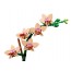 Конструктор LEGO Botanicals Мініорхідея, 274 деталі 10343 Конструктор LEGO Botanicals Мініорхідея, 274 деталі 10343