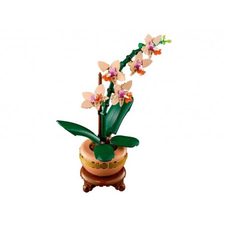 Конструктор LEGO Botanicals Мініорхідея, 274 деталі 10343 Конструктор LEGO Botanicals Мініорхідея, 274 деталі 10343