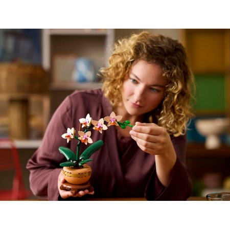 Конструктор LEGO Botanicals Мініорхідея, 274 деталі 10343 Конструктор LEGO Botanicals Мініорхідея, 274 деталі 10343