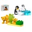 Конструктор LEGO DUPLO Town Семейства диких животных: Пингвины и львы, 10 деталей 10442
