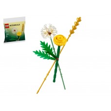 Конструктор LEGO Botanicals Полевые цветы, 77 деталей 30701
