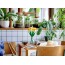Конструктор LEGO Botanicals Нарциси, 216 деталей 40747 Конструктор LEGO Botanicals Нарциси, 216 деталей 40747
