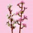 Конструктор LEGO Botanicals Цвіт вишні 430 деталей