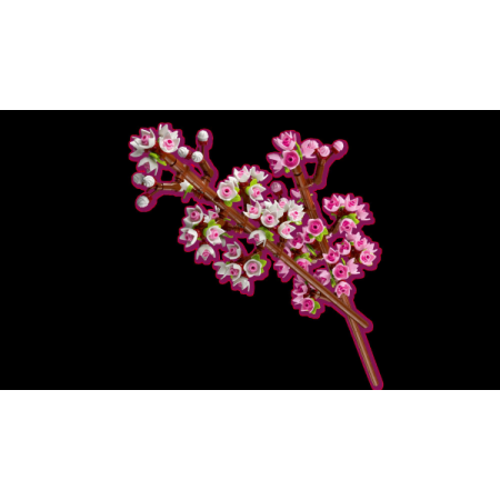 Конструктор LEGO Botanicals Цвіт вишні 430 деталей