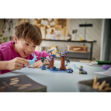 Конструктор LEGO® Harry Potter™ Запретный лес: Экспекто Патронум, 244 детали