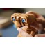 Конструктор LEGO® Ideas E.T. the Extra-Terrestrial Конструктор Конструктор LEGO® Ideas E.T. the Extra-Terrestrial Конструктор