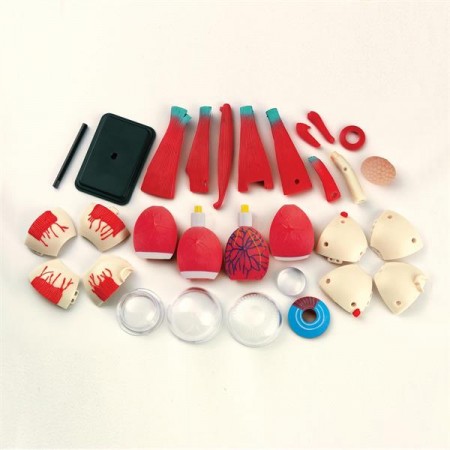 Модель глазного яблока Edu-Toys сборная 14 см SK007