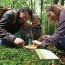 Прес для квітів Hape Nature Fun Гербарій з фарбами E5574