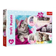 Пазл Trefl Милі кошенята, 160 деталей 15371