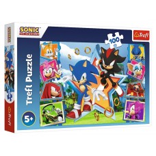Пазл Trefl Meet Sonic, 100 деталей 16465