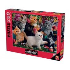 Пазлы Котята в игре 260 элементов Anatolian 3327