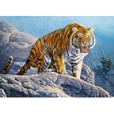 Пазлы Тигр на скале 180 элементов, Castorland B-018451