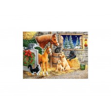 Пазлы Друзья, 300 элементов, Castorland B-030255