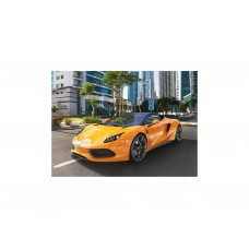 Пазлы Автомобиль ARRINERA HUSSARYA 33, 100 элементов, Castorland B-111015