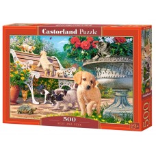 Пазлы Hide and Seek, 500 элементов, Castorland B-53636 Пазлы Hide and Seek, 500 элементов, Castorland B-53636