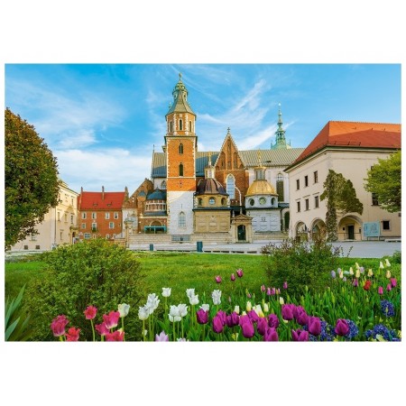 Пазлы Wawel Castle in Krakow Poland 500 элементов Castorland B-53599