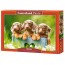 Пазлы Cute Dachshunds 500 элементов Castorland B-53605