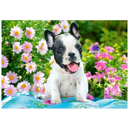 Пазли French Bulldog Puppy 500 елементів Castorland B-53650