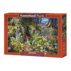Пазлы Лесная поляна 2000 элементов Castorland C-200764