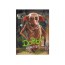 Пазл Harry Potter, Добі, 250 елементів, DoDo 200497 Пазл Harry Potter, Добі, 250 елементів, DoDo 200497