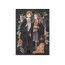 Пазл Harry Potter, Гермиона и Роналд, 300 элементов, DoDo 200499