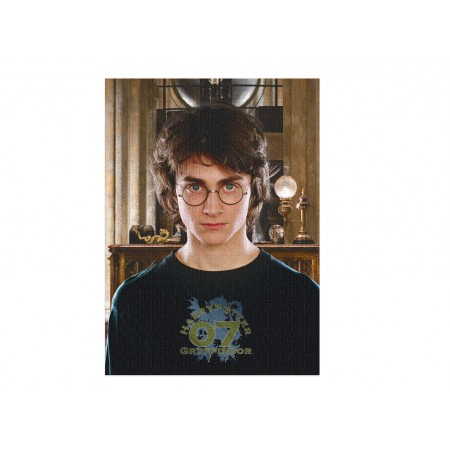 Пазл Harry Potter, 450 елементів, DoDo 200576 Пазл Harry Potter, 450 елементів, DoDo 200576
