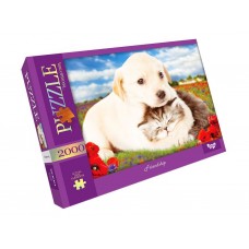 Пазлы Friendship 2000 элементов 66x94 см DankoToys C2000-01-09 Пазлы Friendship 2000 элементов 66x94 см DankoToys C2000-01-09