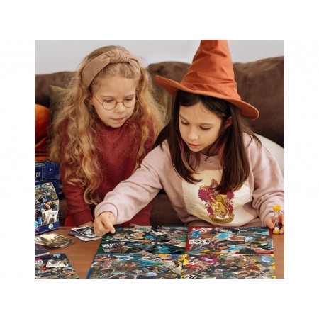 Настільна гра Harry Potter Find It, DoDo 200585