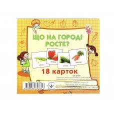 Карточки мини, 18 карточек, Что растет на огороде, Jumbi J018Y Карточки мини, 18 карточек, Что растет на огороде, Jumbi J018Y